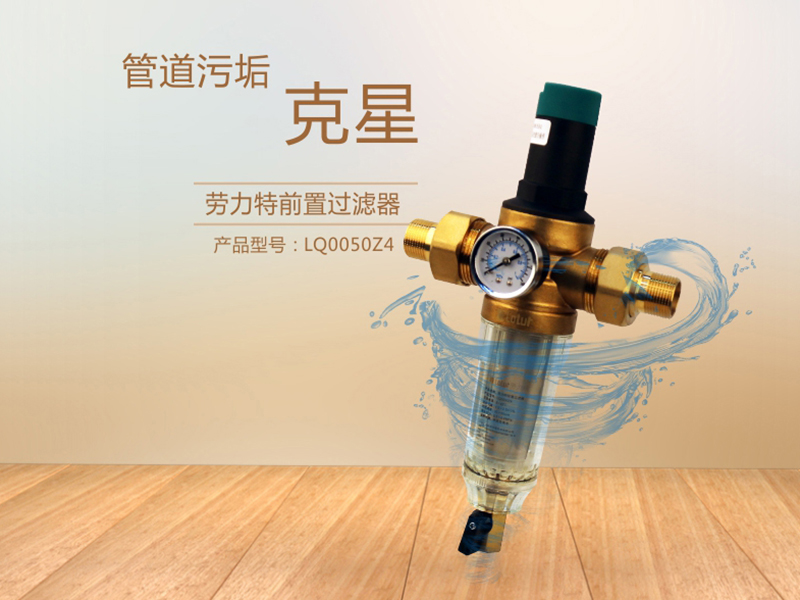 劳力特前置过滤器Z4